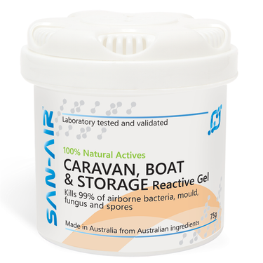 SAN-AIR Boat, Caravan and Storage Mould Remover Gel 75g