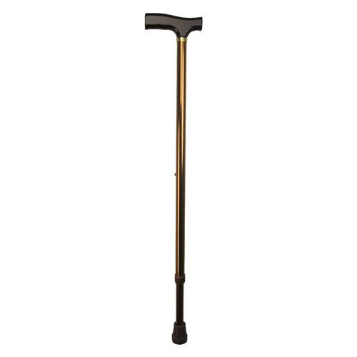 T-Handle Walking Stick, Bronze