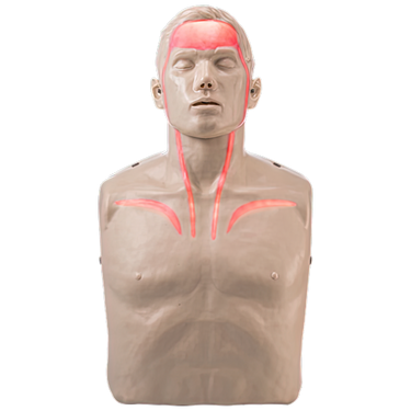 BRAYDEN Pulse CPR Manikin (With Lights)