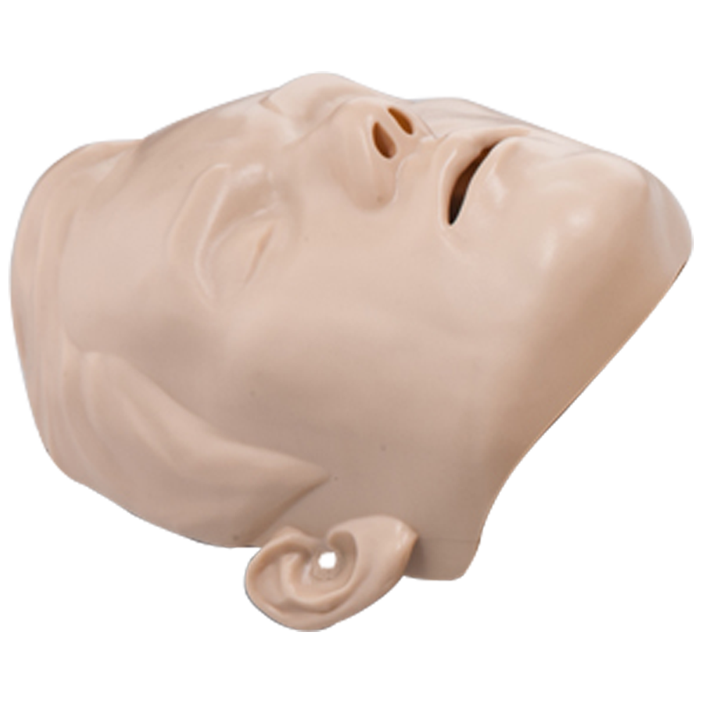 BRAYDEN Manikin Face Skin - Adult