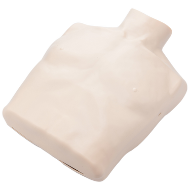 BRAYDEN Manikin Body Skin - Adult